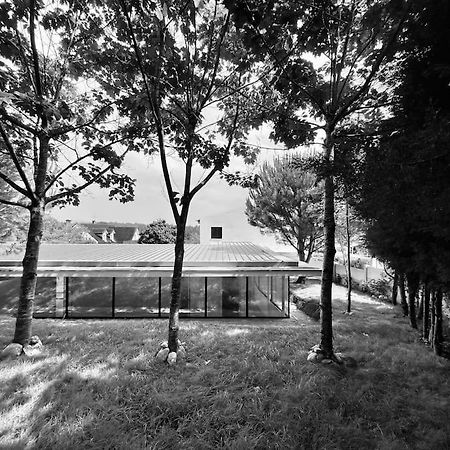 Casa Do Carvalhal - Quinta Do Soldado Villa Alquerubim Ngoại thất bức ảnh