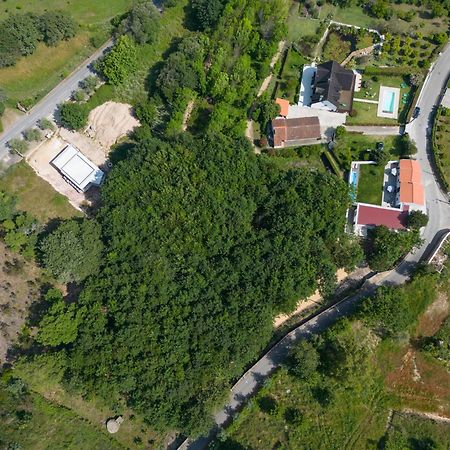 Casa Do Carvalhal - Quinta Do Soldado Villa Alquerubim Ngoại thất bức ảnh