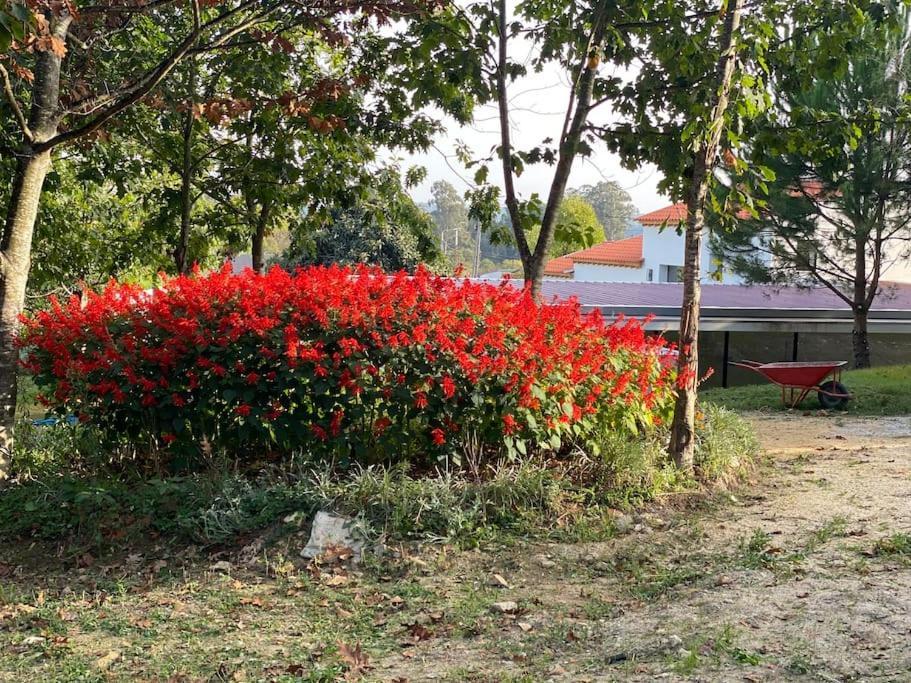Casa Do Carvalhal - Quinta Do Soldado Villa Alquerubim Ngoại thất bức ảnh