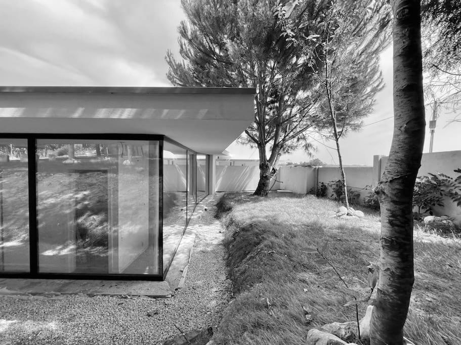 Casa Do Carvalhal - Quinta Do Soldado Villa Alquerubim Ngoại thất bức ảnh