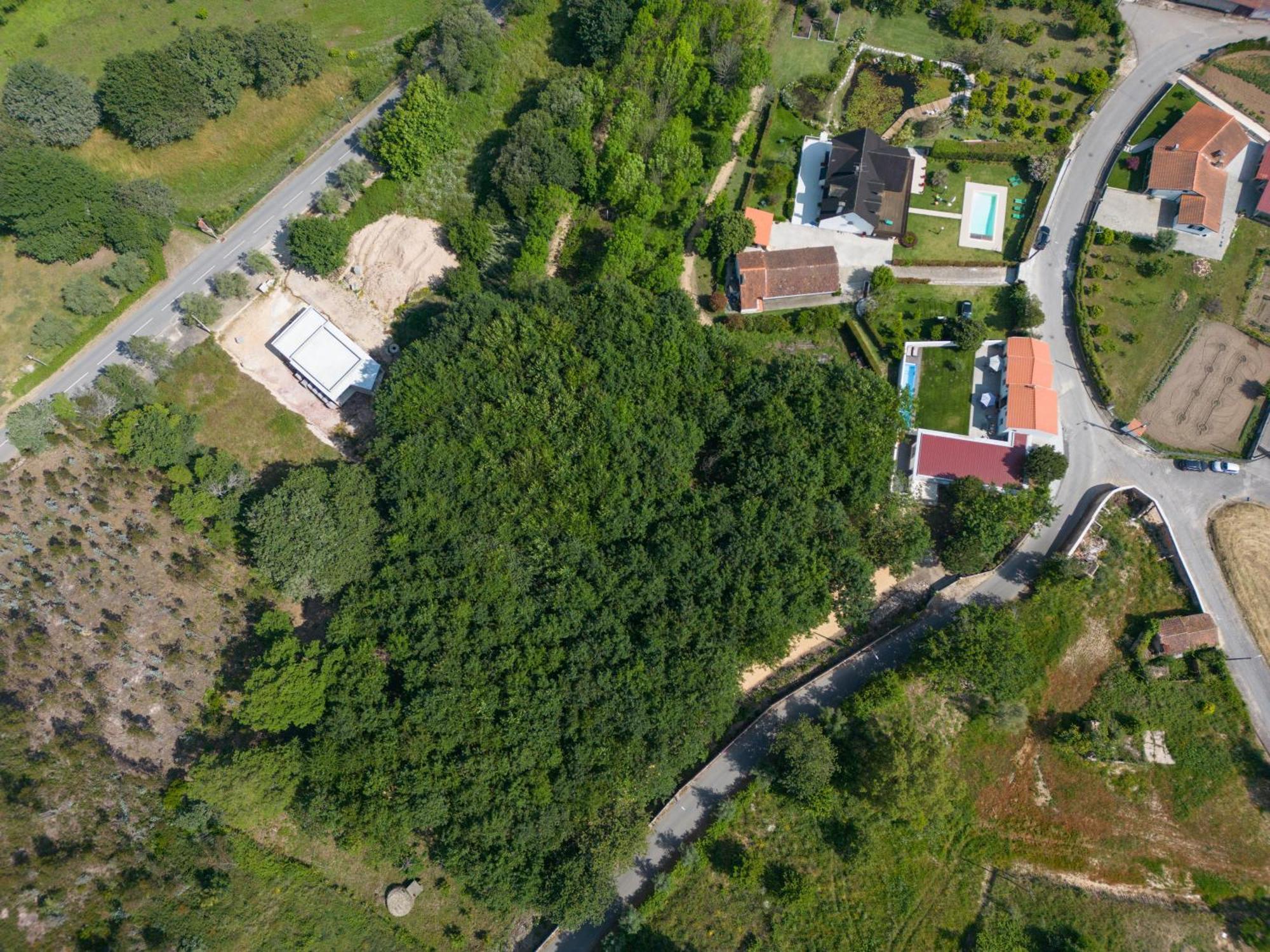 Casa Do Carvalhal - Quinta Do Soldado Villa Alquerubim Ngoại thất bức ảnh